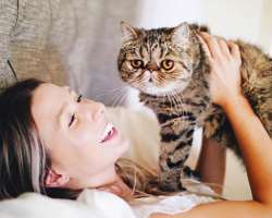 She is very fond of cats and as two pet cats.